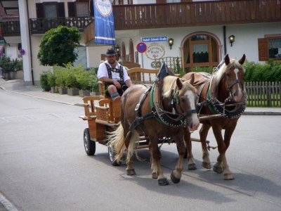 Holiday apartment Margit Daum - Environment photo 14