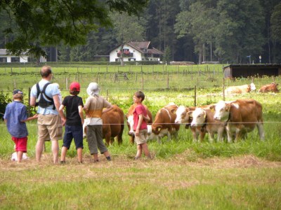 Holiday apartment Margit Daum - Environment photo 15