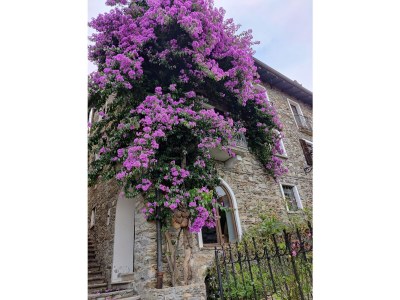 Apartment Apartment Anna - Environment photo 17