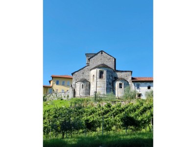 Apartment Apartment Anna - Environment photo 18