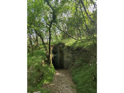 Apartment Apartment Anna - Environment photo 21