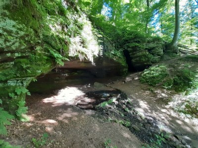 Apartment Appartement/Fewo, Toilette und Bad/Dusche getrennt - Outdoor photo 6