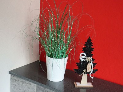 Apartment Appartement/Fewo, Dusche oder Bad, WC, 2 Schlafräu - Outdoor photo 25