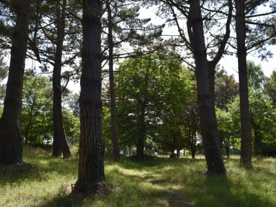 Holiday house No title - Outdoor photo 10