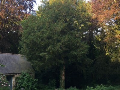 Holiday house No title - Outdoor photo 15