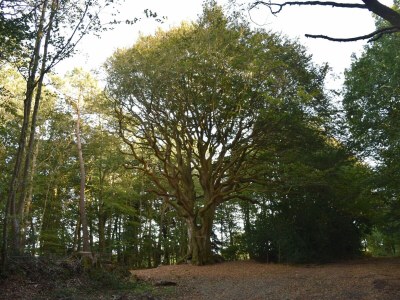 Holiday house No title - Outdoor photo 16