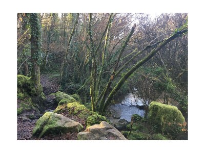 Holiday house No title - Environment photo 32