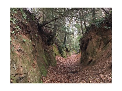 Holiday house No title - Environment photo 33