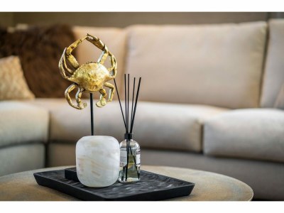 Holiday house Villa auf Texel nahe Leuchtturm Wattenmeer - Outdoor photo 31