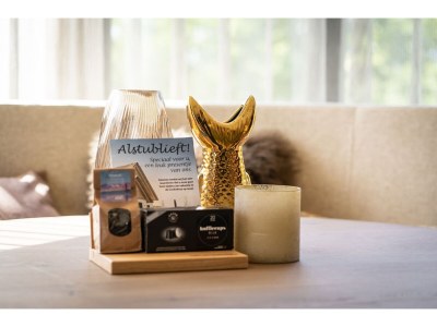 Holiday house Villa auf Texel nahe Leuchtturm Wattenmeer - Outdoor photo 34