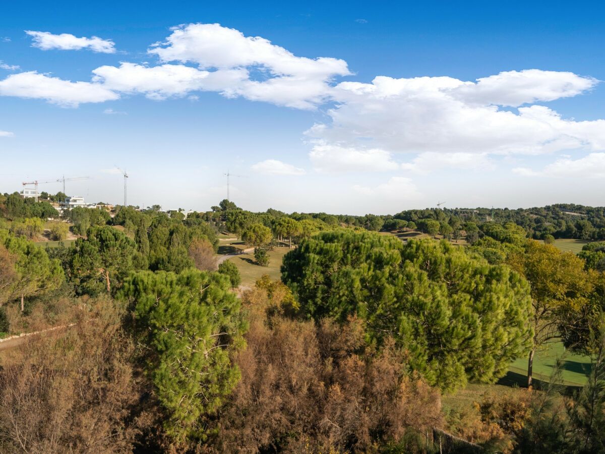 Villa Luxury Villa Near Las Colinas - Outdoor photo 3