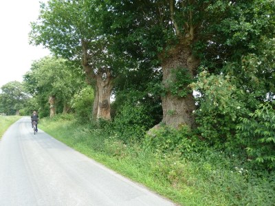 Holiday apartment Welp - Environment photo 12