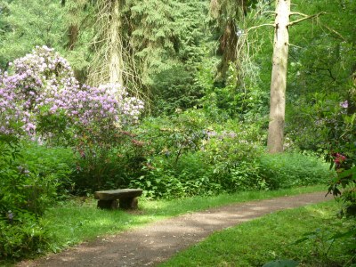 Holiday apartment Welp - Environment photo 13