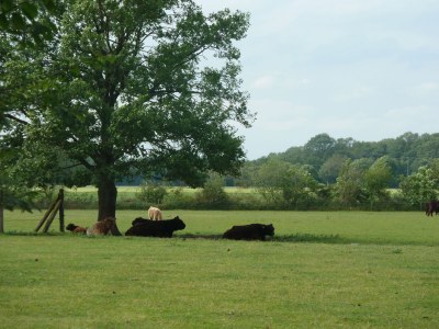Holiday apartment Welp - Environment photo 15