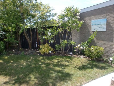 Holiday apartment Duinroosweg 12 - Outdoor photo 6