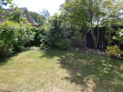 Holiday apartment Duinroosweg 12 - Outdoor photo 7