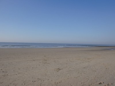 Holiday apartment Duinroosweg 12 - Environment photo 26