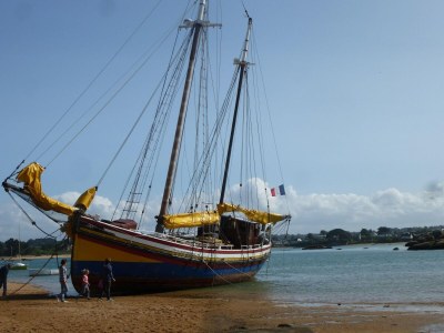 Holiday house Stay in Brittany House by St Michel - Environment photo 28