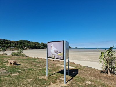 Holiday house Stay in Brittany House by St Michel - Environment photo 31