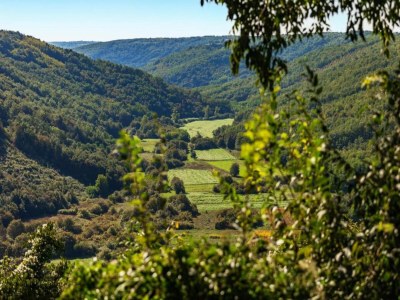 Holiday house Bezaubernde Villa in Kringa mit privatem Pool - Environment photo 34