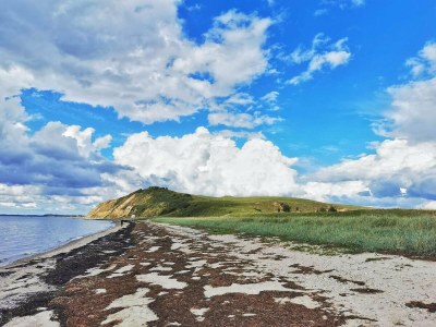 Holiday house 15 person holiday home in Højslev - Outdoor photo 39