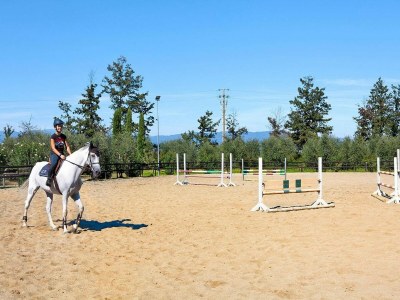 Holiday park Wohnung in Vinci mit Pool & Wellness - Outdoor photo 29