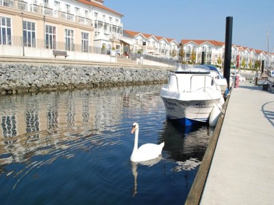 Apartment BEECH Resort Boltenhagen - Environment photo 23