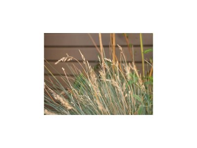 Apartment BEECH Resort Boltenhagen - Outdoor photo 29