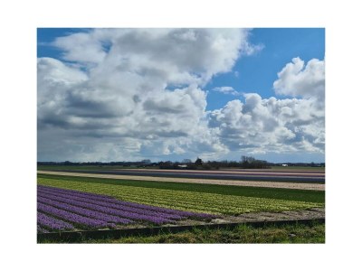 Holiday house Landelijk Bergen - Document photo 17