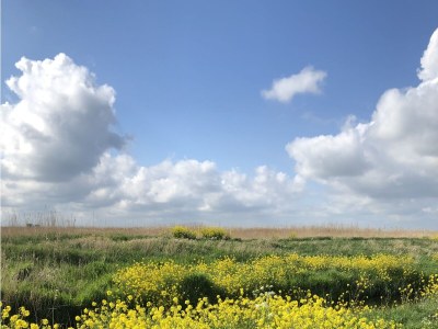 row house Blue Bird - Environment photo 35