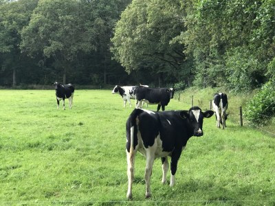 row house Blue Bird - Environment photo 37