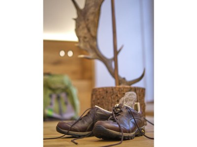 Holiday apartment Hotel Waldhaus Föckinghausen - Environment photo 20