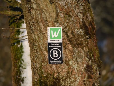 Holiday apartment Hotel Waldhaus Föckinghausen - Environment photo 22