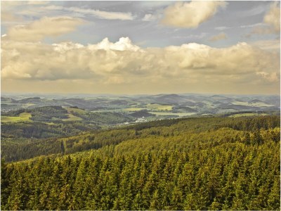 Holiday apartment Hotel Waldhaus Föckinghausen - Environment photo 24