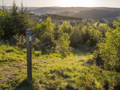 Holiday apartment Hotel Waldhaus Föckinghausen - Environment photo 27