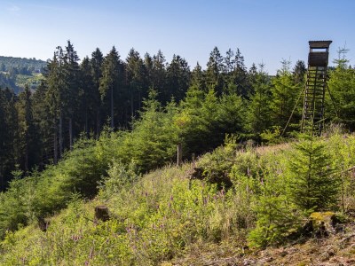 Holiday apartment Hotel Waldhaus Föckinghausen - Environment photo 29