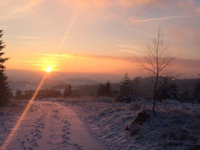 Holiday apartment Hotel Waldhaus Föckinghausen - Environment photo 33