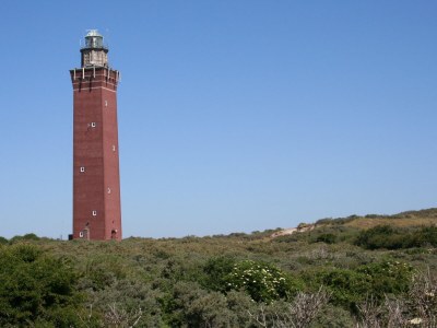 Holiday house Huijsmansverhuur Type C Comfort Plus Prinsenhof 68 - Environment photo 23