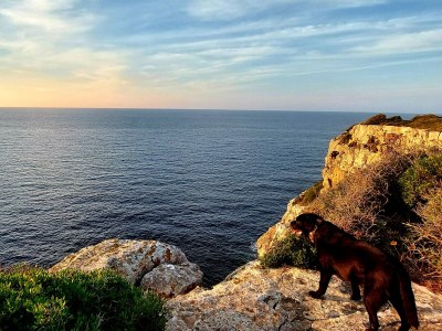 Holiday house Casa Brisa - Environment photo 36