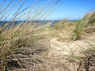 Holiday house Keizerskroon 30 - Environment photo 21