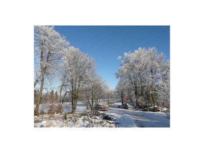 Holiday apartment No title - Environment photo 32