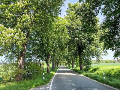 Apartment Peaceful Escape in Neu Karin - Environment photo 22