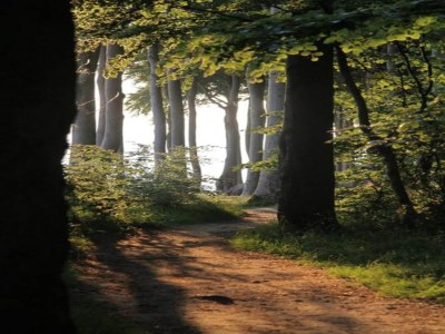 Apartment Peaceful Escape in Neu Karin - Environment photo 24