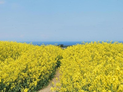 Apartment Peaceful Escape in Neu Karin - Environment photo 35