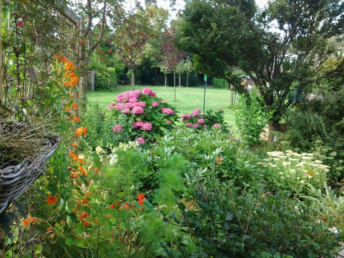 Holiday house Terrassenwohnung mit üppigem Garten - Outdoor photo 3