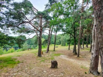 Holiday park Beachside Villa + Sauna - Environment photo 34