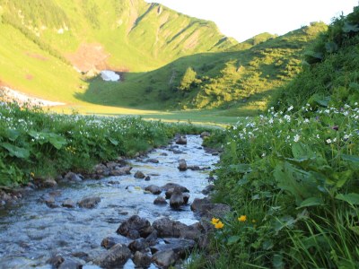 Holiday apartment Nest - Environment photo 16