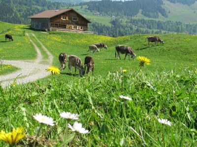 Holiday apartment Nest - Environment photo 19