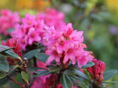 Holiday apartment Nest - Environment photo 20