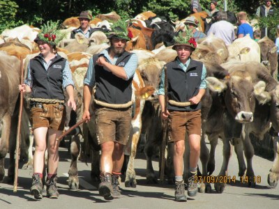 Holiday apartment Nest - Environment photo 25